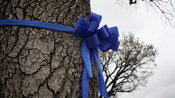 Tie Blue Ribbons for April Child Abuse Prevention Month - Richland County  Children Services